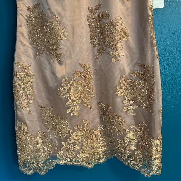 Boston Proper Rose Gold Dress - Picture 9 of 16